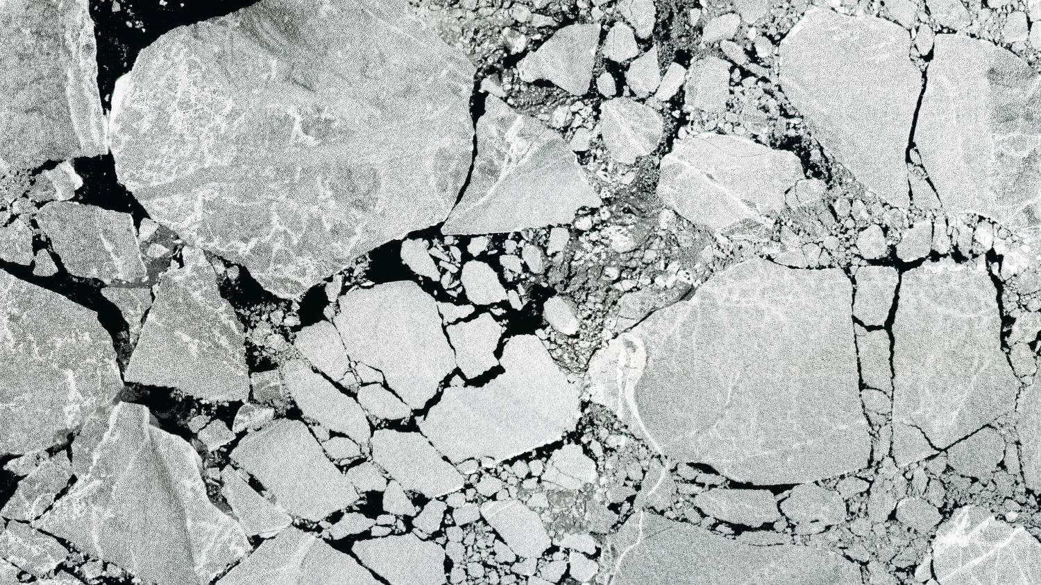 Россия, Оленекский залив • 11-07-2015 •  Панхроматический